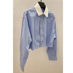 Womens New Blue Lapel Shirt A Niche Designer-Style Short Top