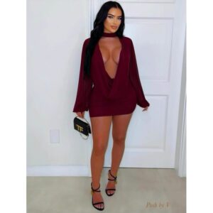 Fashionable Mesh Patchwork Design Bodycon Sexy Dress For Women