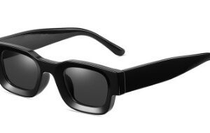 Retro Small Frame Sunglasses For Men