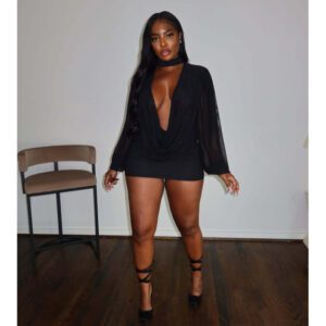 Fashionable Mesh Patchwork Design Bodycon Sexy Dress For Women