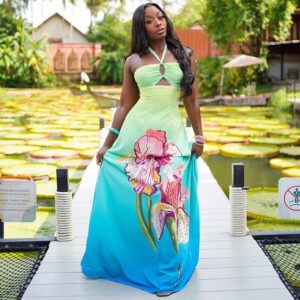 Women’s Fashion Hollowed-out Gradient Printed Waist-Cinching Dress