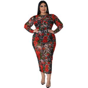 Round-neck Stretchy See-through Sheath Dress With A Printed Design