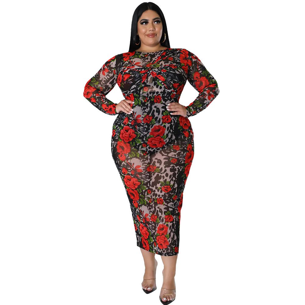 Round-neck Stretchy See-through Sheath Dress With A Printed Design - Image 2