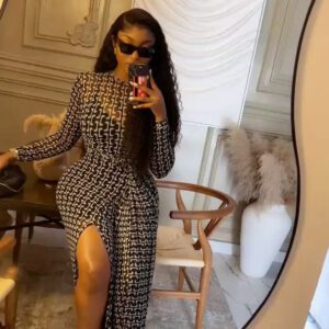 Split Sheath Skirt With A High Neck Sheer Long Sleeves And Dress