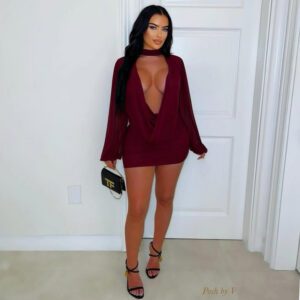 Fashionable Mesh Patchwork Design Bodycon Sexy Dress For Women