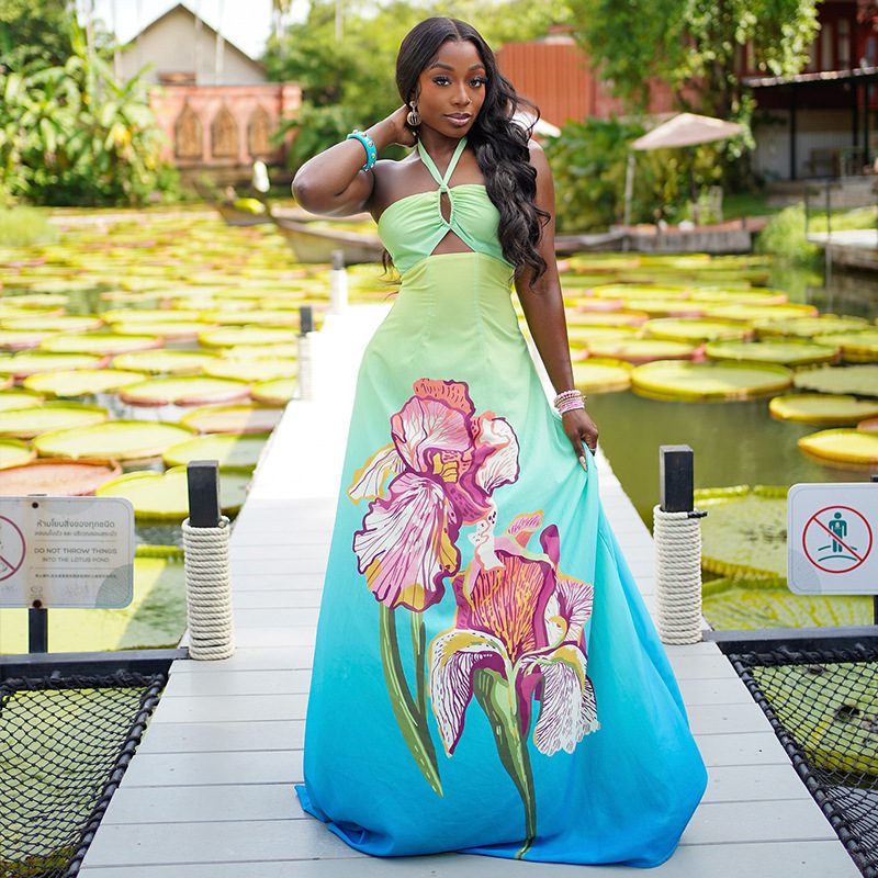 Women's Fashion Hollowed-out Gradient Printed Waist-Cinching Dress