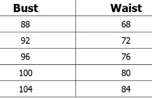 Floral Off-the-shoulder Strap Lace-up Large Swing Skirt Organza Dress