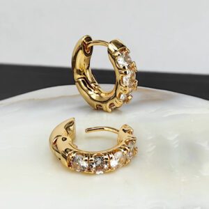 European And American Fashion Elegant Earrings